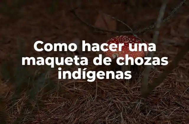 ¿Qué es una choza indígena?