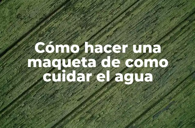 Cómo Hacer una Maqueta de como Cuidar el Agua 2 ¿Qué es una maqueta de cuidado del agua?