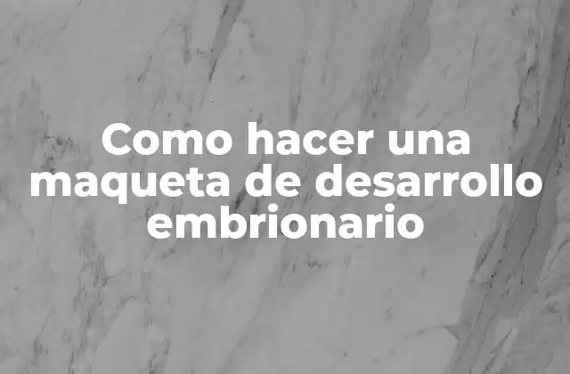 Como Hacer una Maqueta de Desarrollo Embrionario