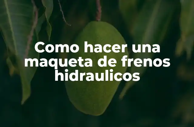 Como Hacer una Maqueta de Frenos Hidraulicos