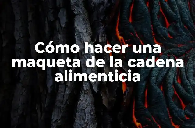 Cómo Hacer una Maqueta de la Cadena Alimenticia