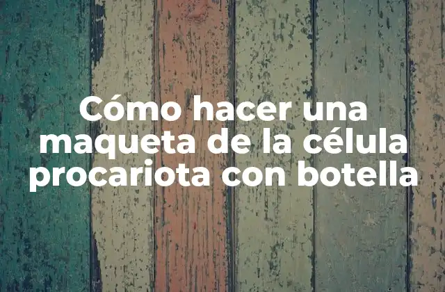 Cómo Hacer una Maqueta de la Célula Procariota con Botella