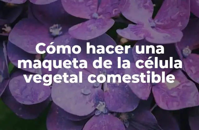 Cómo Hacer una Maqueta de la Célula Vegetal Comestible