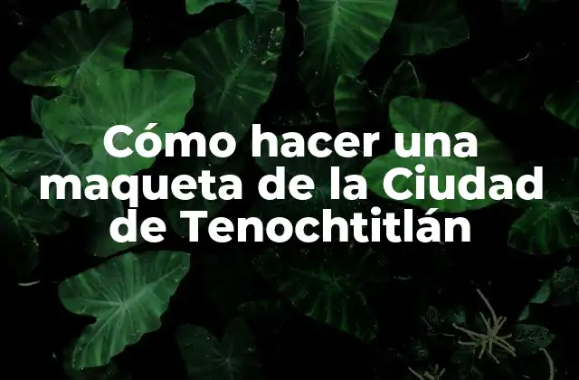 Cómo Hacer una Maqueta de la Ciudad de Tenochtitlán