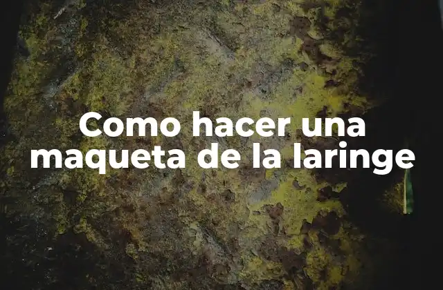 Como Hacer una Maqueta de la Laringe