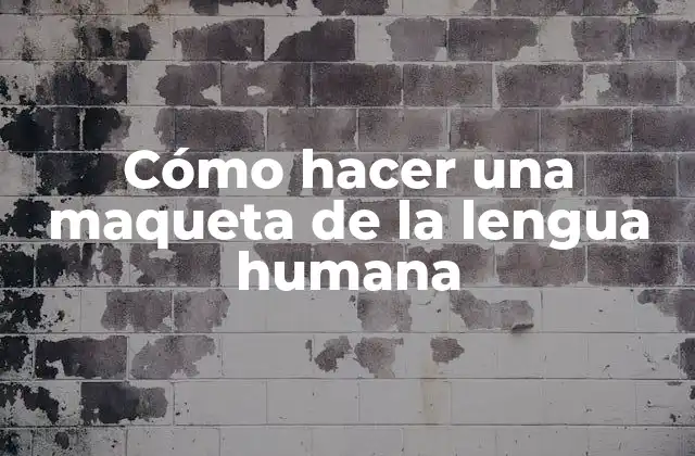 Cómo Hacer una Maqueta de la Lengua Humana