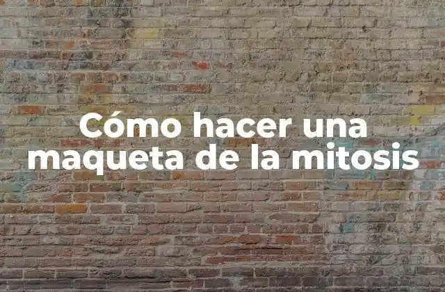 Cómo Hacer una Maqueta de la Mitosis