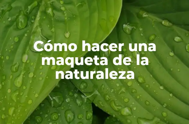 Cómo Hacer una Maqueta de la Naturaleza