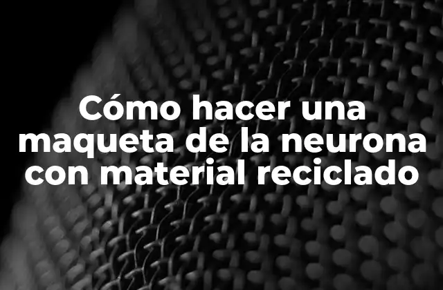 Cómo Hacer una Maqueta de la Neurona con Material Reciclado