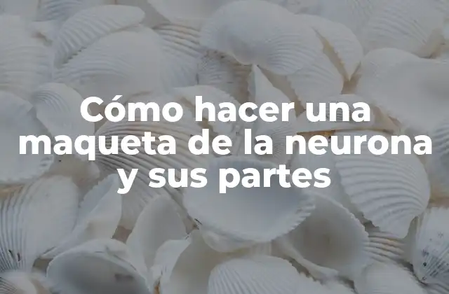 Cómo Hacer una Maqueta de la Neurona y Sus Partes
