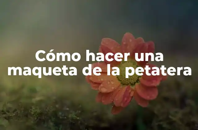 Cómo Hacer una Maqueta de la Petatera