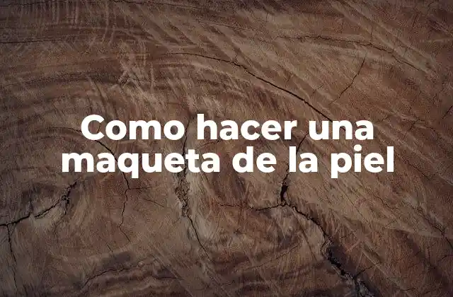 Como Hacer una Maqueta de la Piel