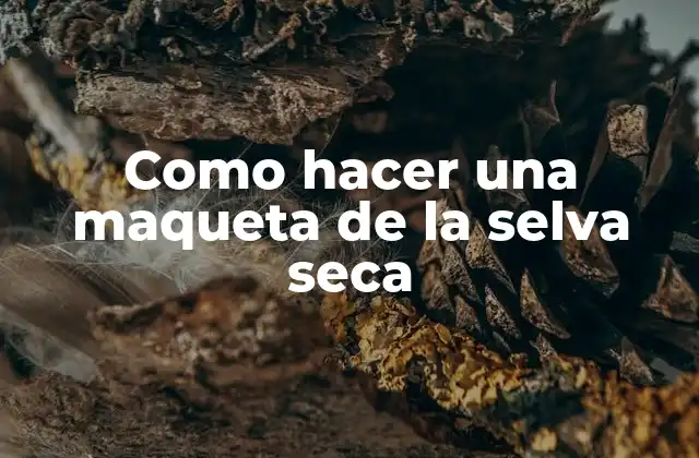 Como Hacer una Maqueta de la Selva Seca