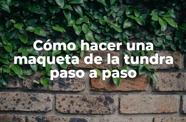Cómo Hacer una Maqueta de la Tundra Paso a Paso