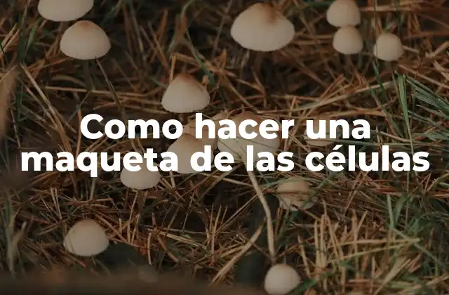 Como Hacer una Maqueta de las Células