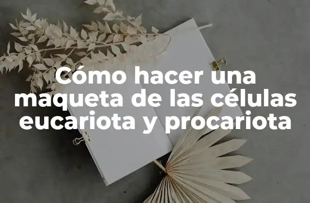 Cómo Hacer una Maqueta de las Células Eucariota y Procariota 2 Cómo hacer una maqueta de las células eucariota y procariota