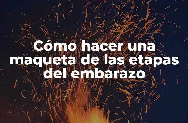 Cómo Hacer una Maqueta de las Etapas Del Embarazo 2 ¿Qué es una maqueta de las etapas del embarazo?