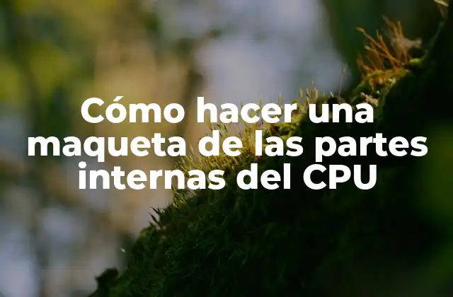 Cómo Hacer una Maqueta de las Partes Internas Del Cpu