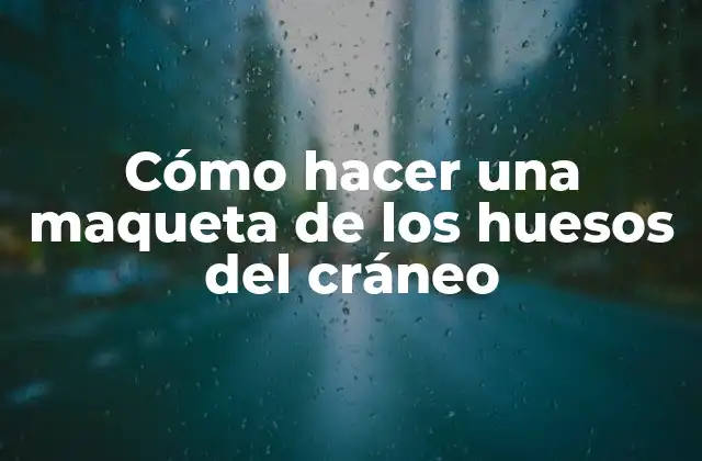 Cómo Hacer una Maqueta de los Huesos Del Cráneo