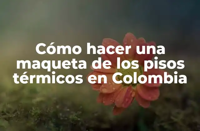 Cómo Hacer una Maqueta de los Pisos Térmicos en Colombia
