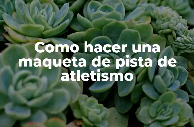 Como Hacer una Maqueta de Pista de Atletismo