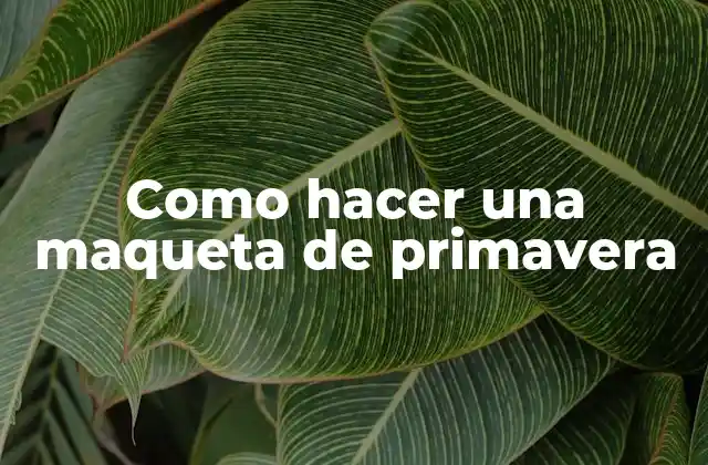 Como Hacer una Maqueta de Primavera