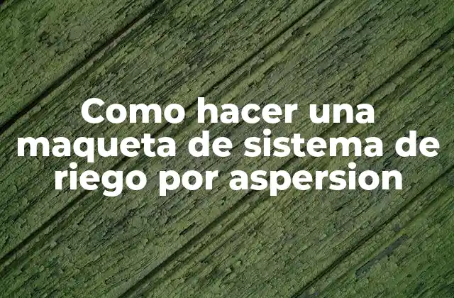 Como Hacer una Maqueta de Sistema de Riego por Aspersion