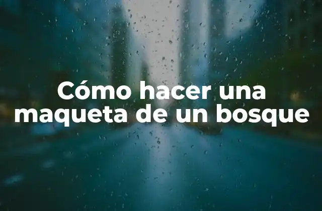Cómo Hacer una Maqueta de un Bosque