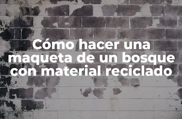 Cómo Hacer una Maqueta de un Bosque con Material Reciclado