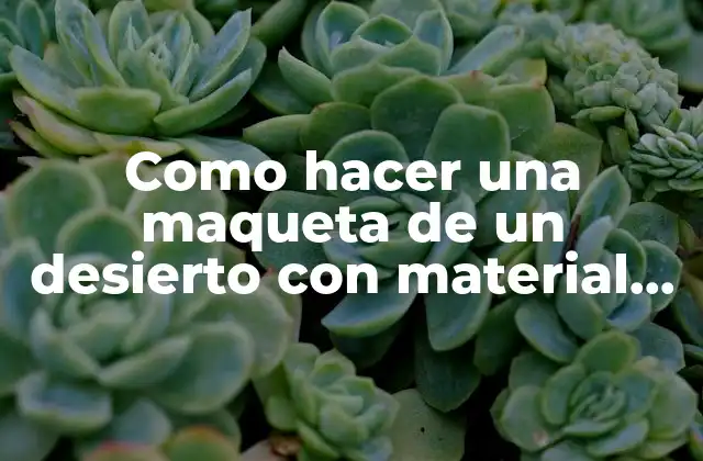 Como Hacer una Maqueta de un Desierto con Material Reciclable