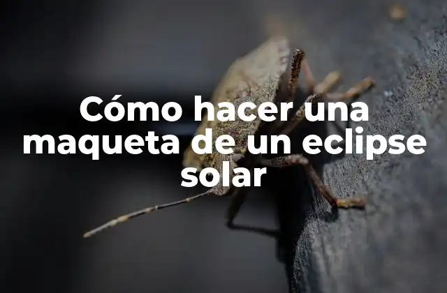 Cómo Hacer una Maqueta de un Eclipse Solar 2 Cómo hacer una maqueta de un eclipse solar