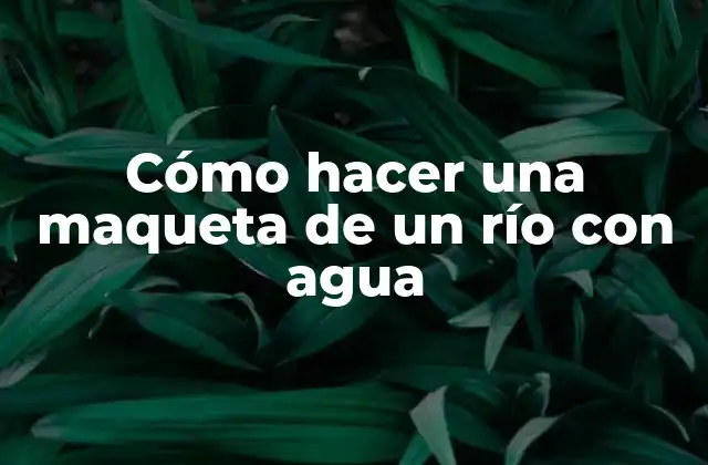 Cómo Hacer una Maqueta de un Río con Agua