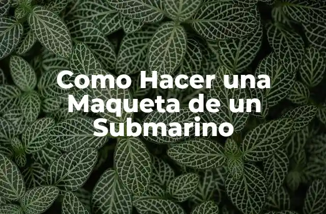 Como Hacer una Maqueta de un Submarino