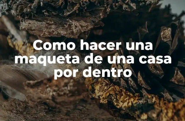 Como Hacer una Maqueta de una Casa por Dentro