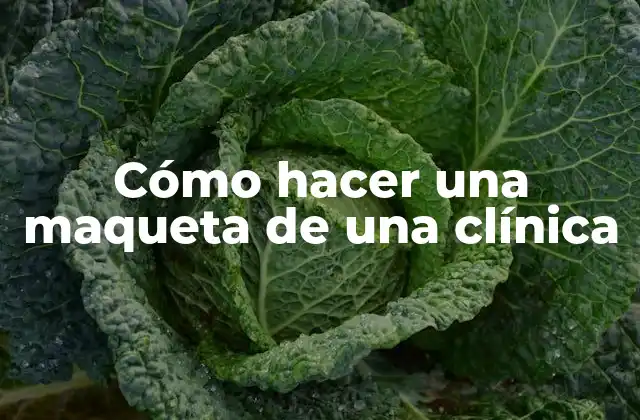 Cómo Hacer una Maqueta de una Clínica