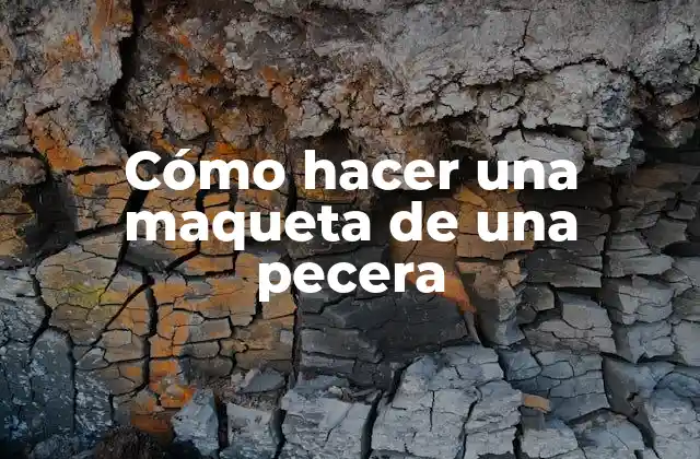 Cómo Hacer una Maqueta de una Pecera