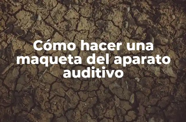 Cómo Hacer una Maqueta Del Aparato Auditivo