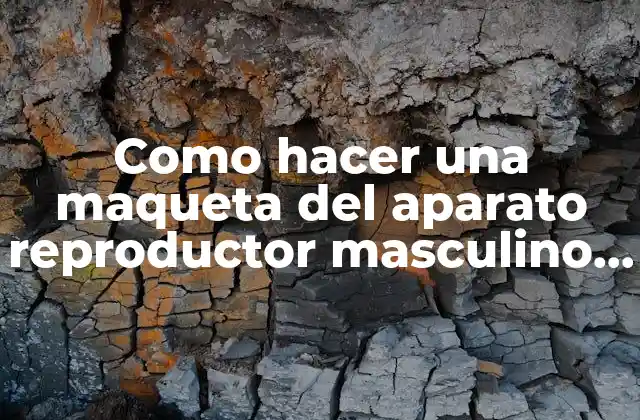Como Hacer una Maqueta Del Aparato Reproductor Masculino y Femenino