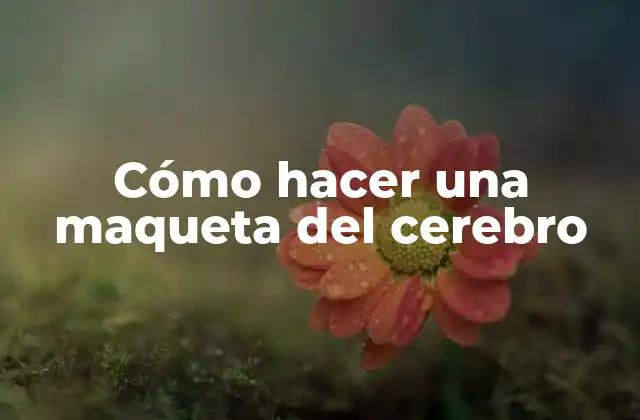 Cómo Hacer una Maqueta Del Cerebro