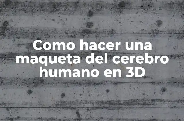 Como Hacer una Maqueta Del Cerebro Humano en 3d