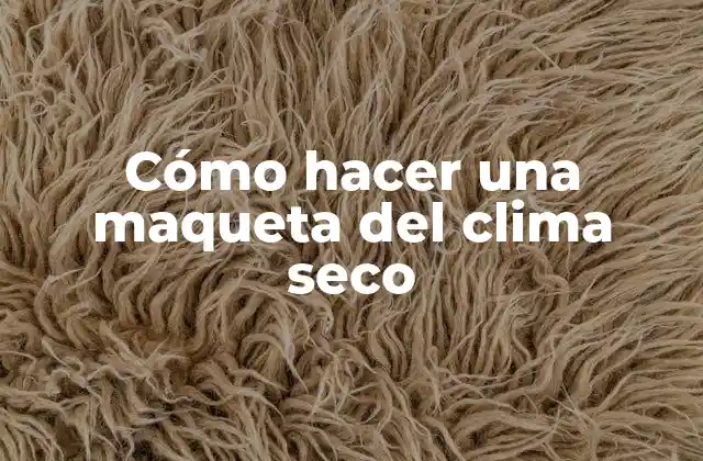 Cómo Hacer una Maqueta Del Clima Seco