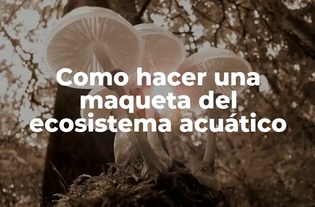 Como Hacer una Maqueta Del Ecosistema Acuático