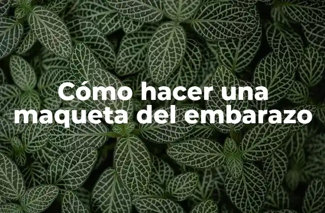 Cómo Hacer una Maqueta Del Embarazo