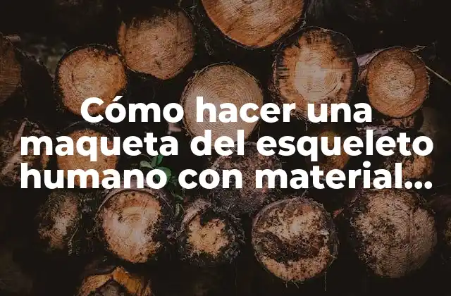 Cómo Hacer una Maqueta Del Esqueleto Humano con Material Reciclable
