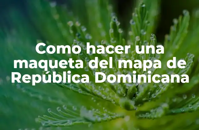 Como Hacer una Maqueta Del Mapa de República Dominicana
