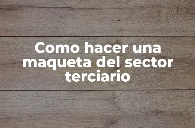 Como Hacer una Maqueta Del Sector Terciario