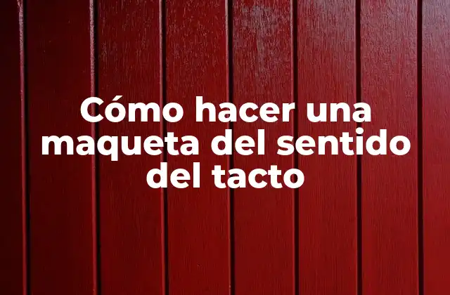 Cómo Hacer una Maqueta Del Sentido Del Tacto