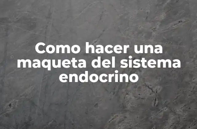 Como Hacer una Maqueta Del Sistema Endocrino