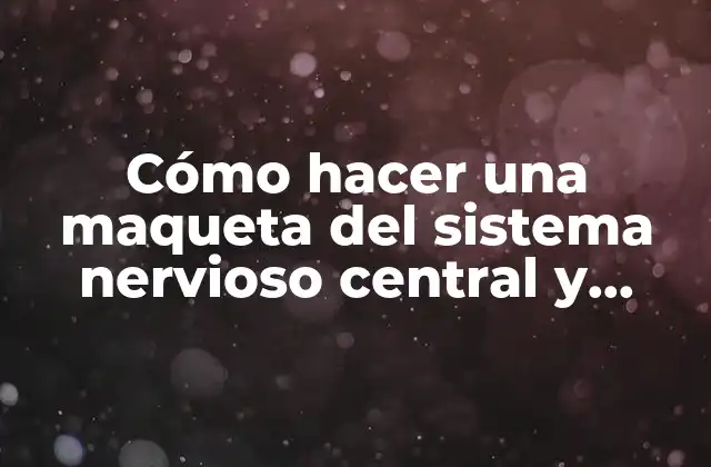 Cómo Hacer una Maqueta Del Sistema Nervioso Central y Periférico