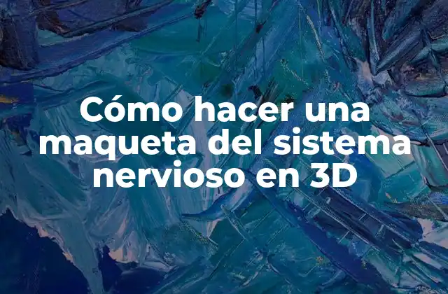 Cómo Hacer una Maqueta Del Sistema Nervioso en 3d